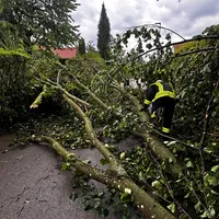 IMG-20260731-WA0032.jpg